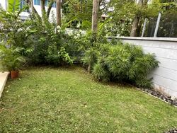 Braddell Heights Estate (D13), Detached #553522641